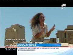 Jurnalistă atacată de... greieri!