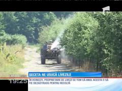 Canicula şi seceta îi duc la disperare pe pomicultorii români