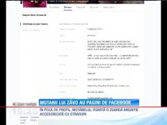 Motanii lui Zăvo au pagini de Facebook