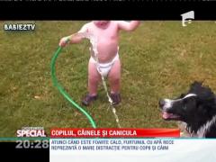 Special! Copilul, câinele și canicula