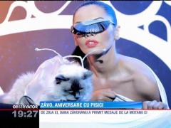 Oana Zăvoranu, aniversare cu pisici