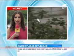 COD GALBEN de furtuni, grindină şi vijelii!