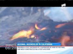 Incendiile de pădure au făcut ravagii în vestul SUA