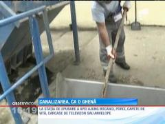 Sistemul de canalizare al oraşului Sibiu a fost transformat în ghena localnicilor