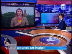 Un cerşetor ridicat de poliţişti de pe străzile Timişoarei avea asupra lui 3.600 de lei