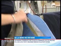 Banii nu mai vin de la căpşunari