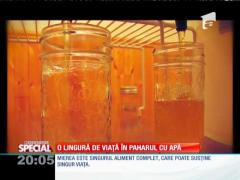 Special! Beneficiile apei îndulcite cu miere de albine