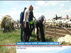 La "Poftiți și dăruiți", vedetele lui Nea Mărin sunt puse să mulgă caprele și să tundă oile