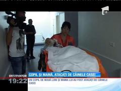 Copil și mamă, atacați de un câine pitbull