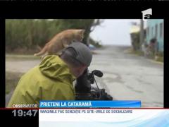 Cel mai prietenos pisoi din lume