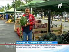 Pepenii de Dăbuleni au invadat pieţele, producătorii nu se bucură!