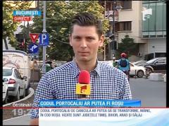 Alertă de cod roșu de caniculă!