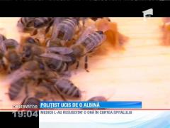 Poliţist din Buzău ucis de o albină