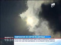 A fost o zi de foc pentru România! Temperaturi de aproape de 50 de grade Celsius!