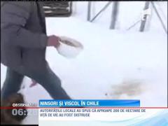 Iarna face ravagii în sudul statului Chile! Ger, zăpadă, ninsoare, viscol!