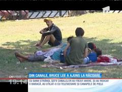 Bruce Lee de România, regele oamenilor străzii, a fost arestat