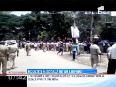 Clipe de panică într-o şcoală privată din sudul Indiei, după ce un leopard a intrat în clădire