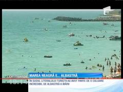 Observator de weekend