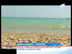 Fenomen spectaculos. În sudul litoralului, turiștii au avut parte de o culoare specială a mării