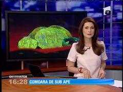 O familie de vânători de comori din SUA a găsit 52 de monede de aur ce datează din 1715