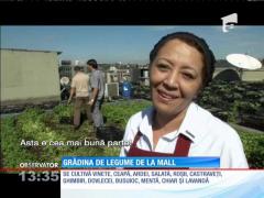 BRAZILIA: Grădina de legume de la mall