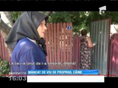 Un bărbat de 87 de ani dintr-o localitate brăileană, mâncat de viu de unul dintre câinii din gospodărie