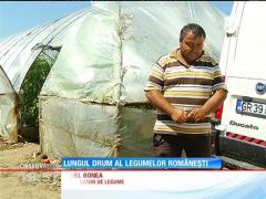 Legumele româneşti tot mai bine vândute de supermarket-uri