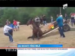 Bărbaţi, filmaţi în timp ce îşi torturau caii