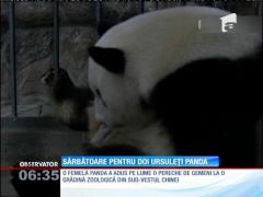 O femelă panda de la o gradină zoologică din China adus pe lume o pereche de gemeni!