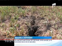 Seceta face victime! Pentru că nu au cu ce să hrănească animalele, oamenii le-au dus la abator