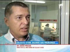 Celulele stem, salvare sau păcăleală?!