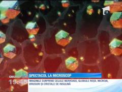 Cum arată corpul uman văzut la microscop
