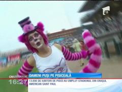 Pisicuţele, protagonistele celor mai amuzante clipuri de pe internet, au acum propriul festival de film! Despre ce este vorba?!