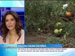 Trist, dar adevărat. Sistemele de irigaţii din România sunt la pământ