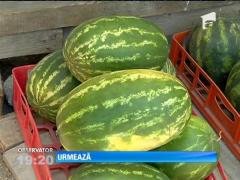 Observator de weekend