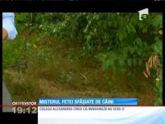 Moartea Alexandrei, adolescenta găsită sfâşiată într-un parc din Craiova, rămâne un mister