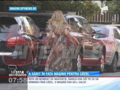 Bianca Drăguşanu a sărit în fața mașinii pentru cățel!