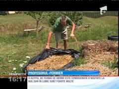 Un profesor de matematică din Harghita produce humus de râmă