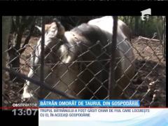 Bătrân ucis de taurul din gospodărie