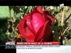 SPECIAL! Colibiţa, colţ de rai