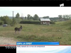 Suceava: Copii scoşi la cerşit