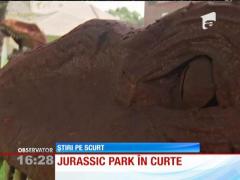 O femeie din Texas a devenit inamicul public numărul unu în cartierul unde locuieşte