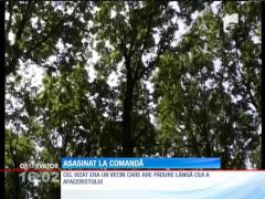 Suceava: Un om de afaceri este acuzat că a comandat un asasinat