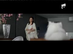 Observator 13 Weekend