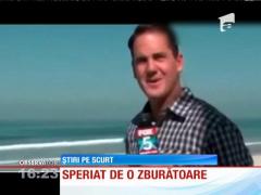 Reporter speriat de o zburătoare