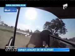 Clipe de coşmar pentru câţiva turişti care au mers într-un safari în Zimbabwe!