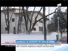 Miliardarul Dan Adamescu se desparte de soție și avere
