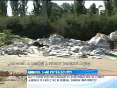 Prețul gunoiului s-ar putea dubla de la anul