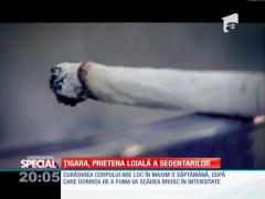 SPECIAL! Țigara, prietena loială a sedentarilor
