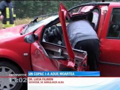 A murit strivit de un copac desprins de pe un versant, în propria mașină!